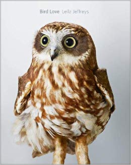 Bird Love Book