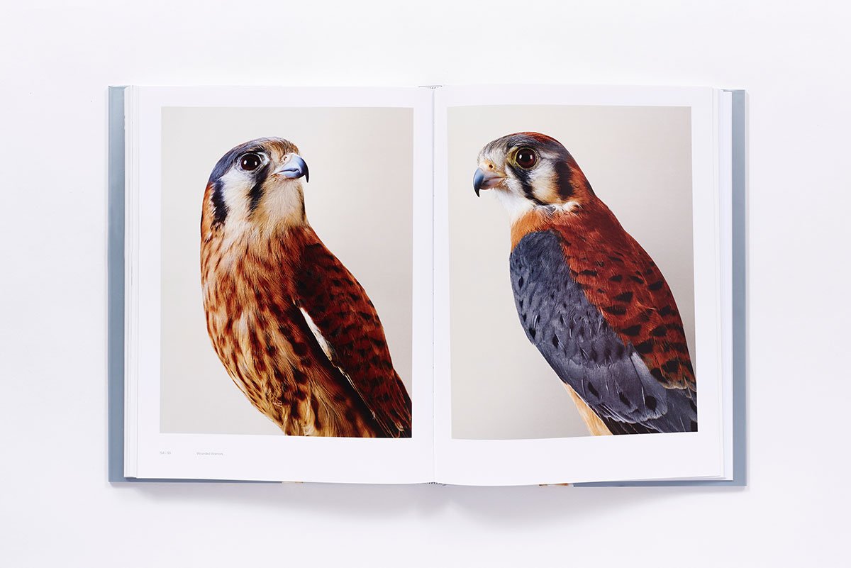 Bird Love Book