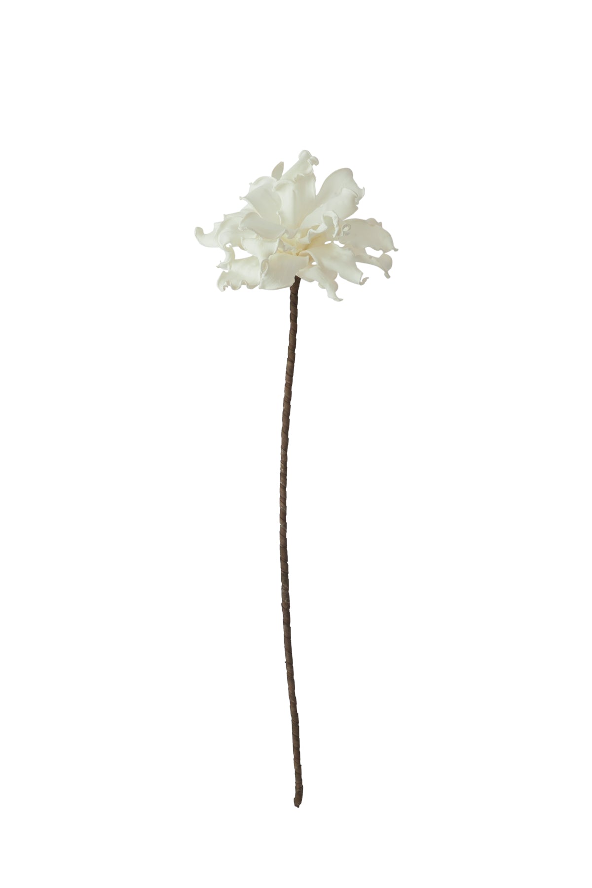GD-White Single Stem Botanica