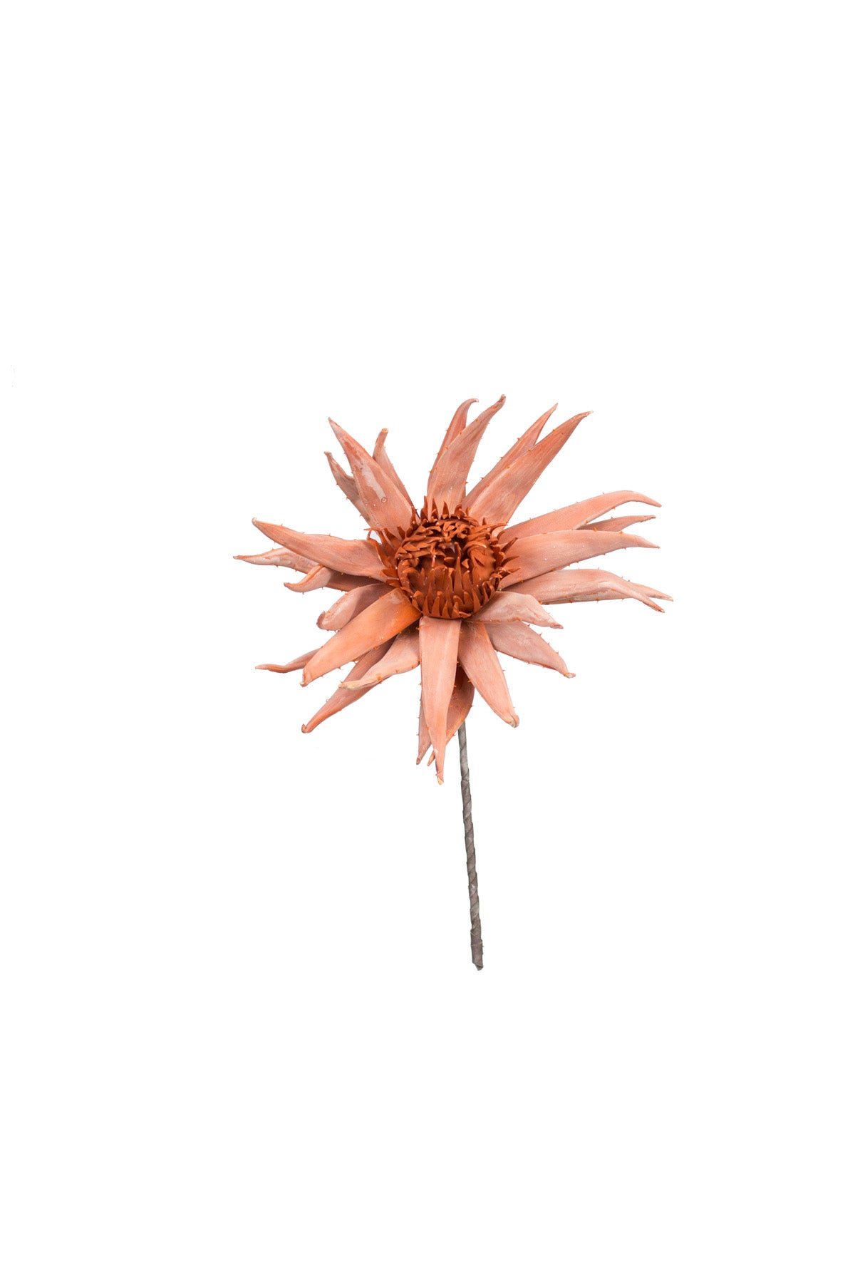 GD-Orange Blossom Botanica