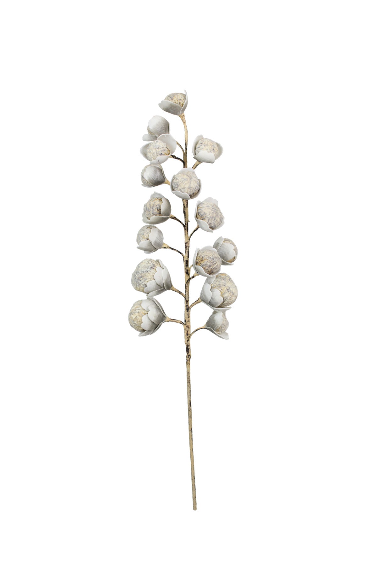 GD-Cotton Botanica