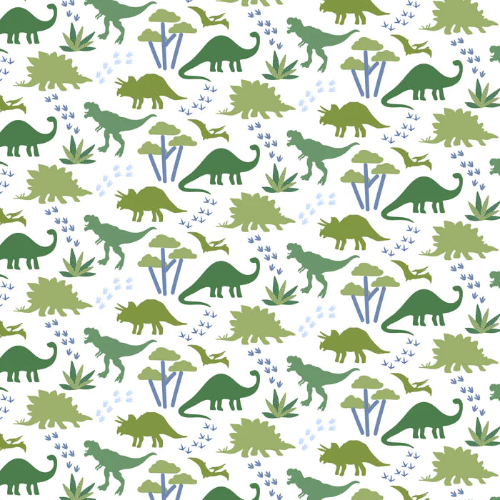 Dino Safari Charles Short Set