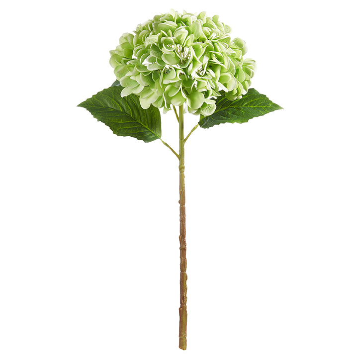 20.5" Real Touch Green Hydrangea Stem