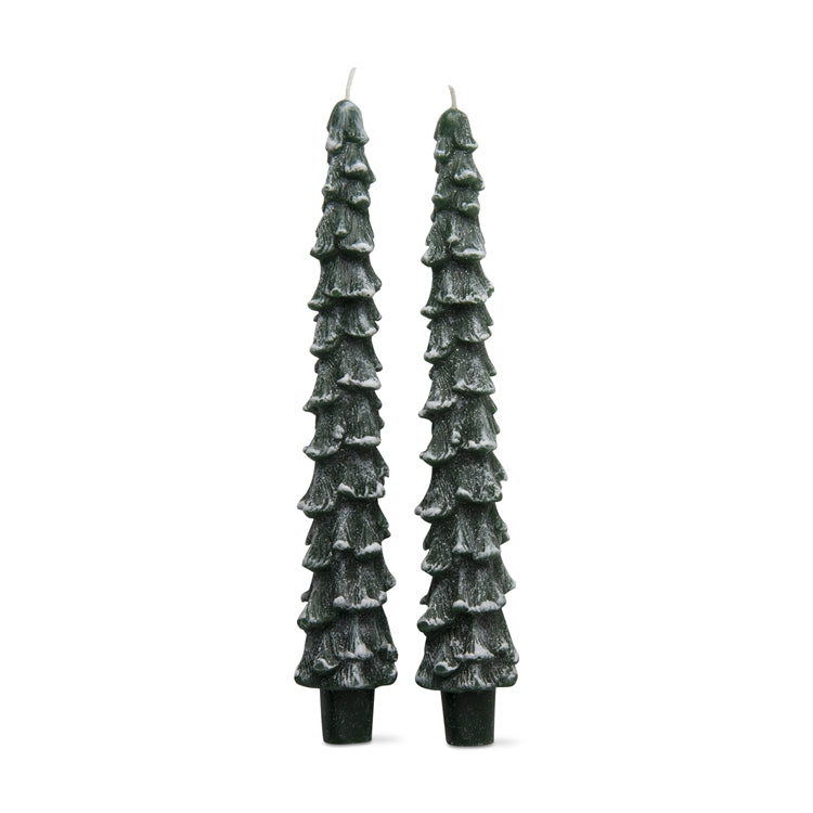Spruce Taper Candles S/2