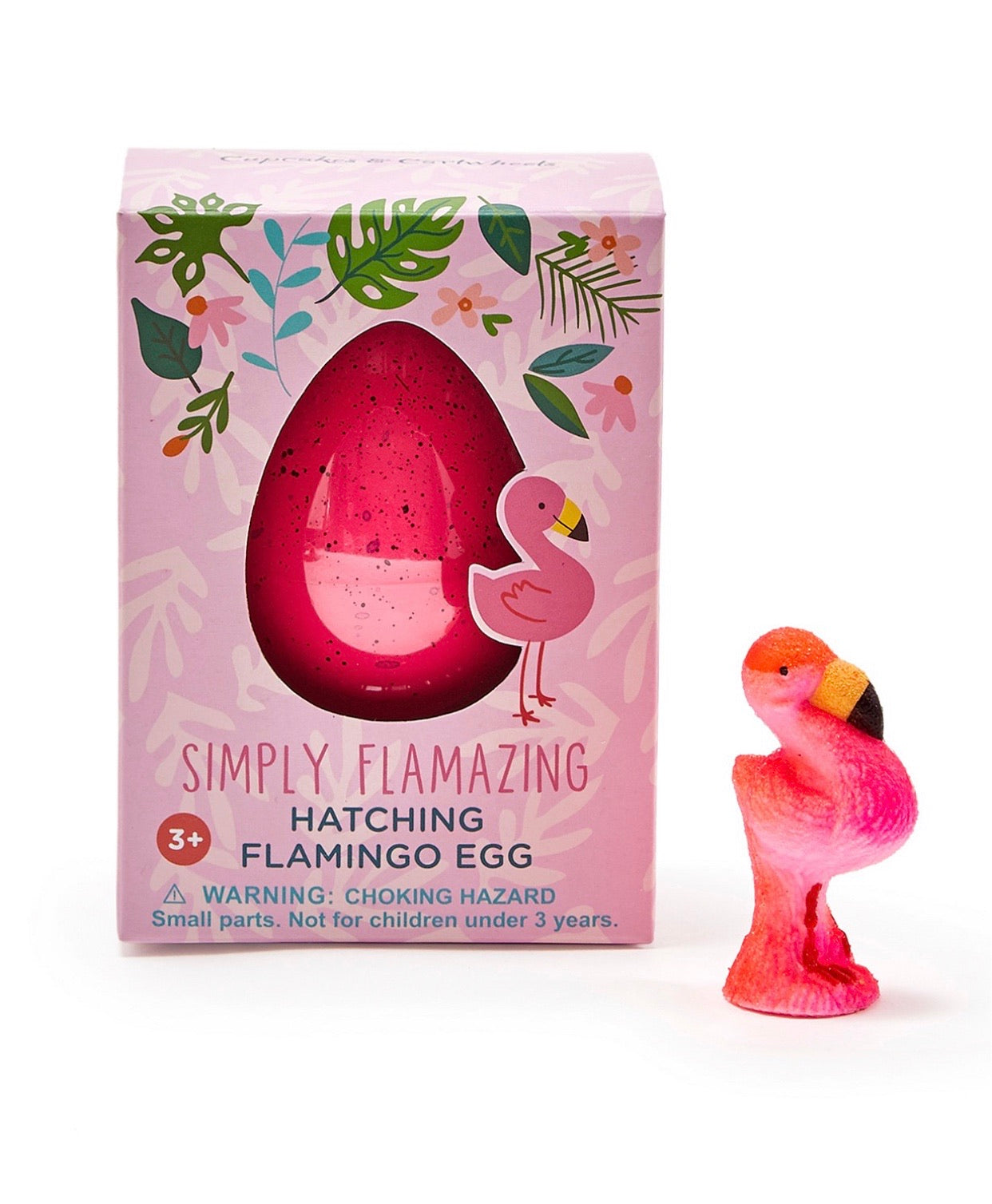 Hatching Flamingo Egg