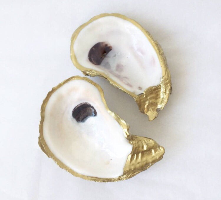 Gilded Oystershell-Small