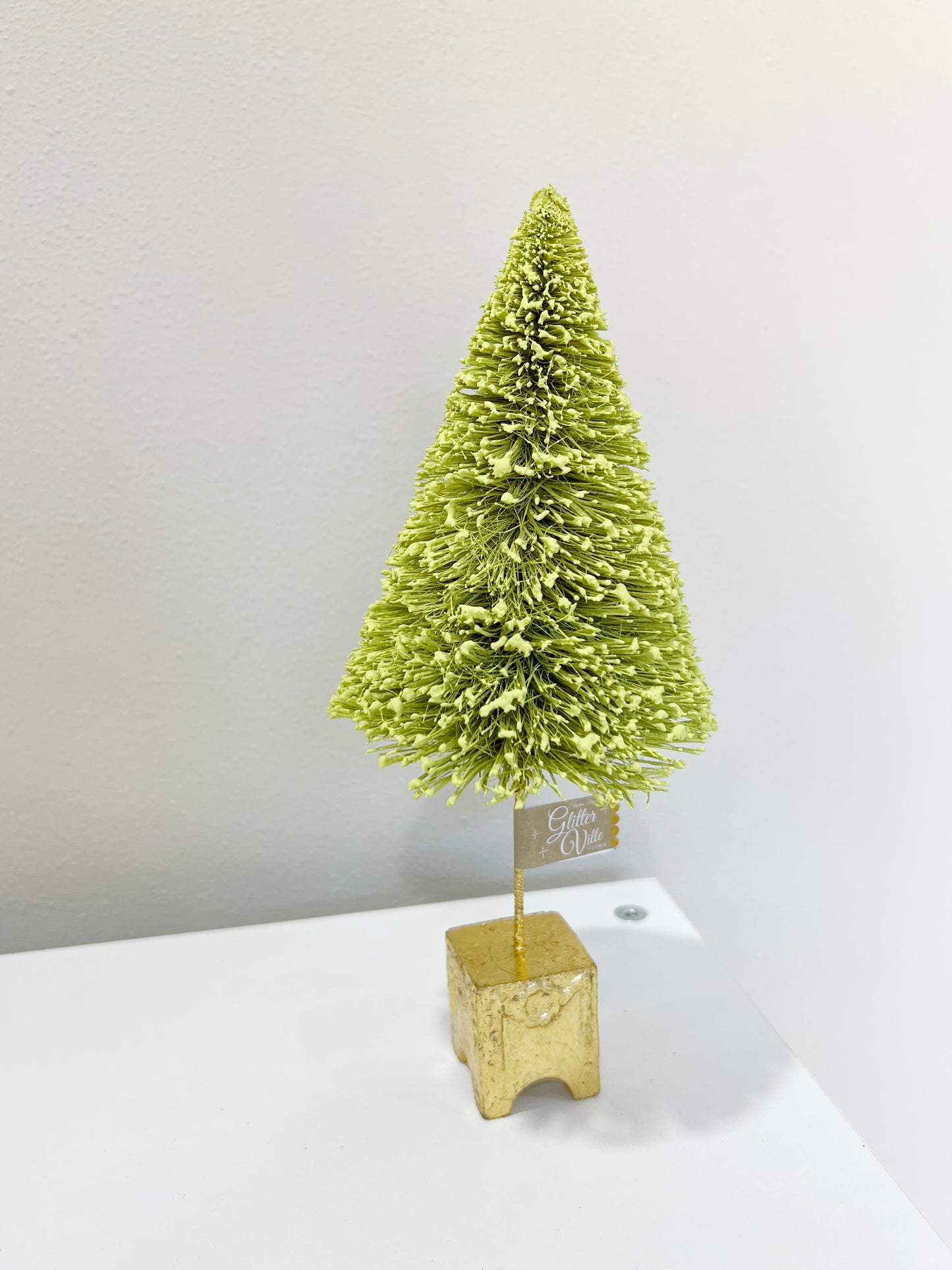 French Forest Sisal Tree