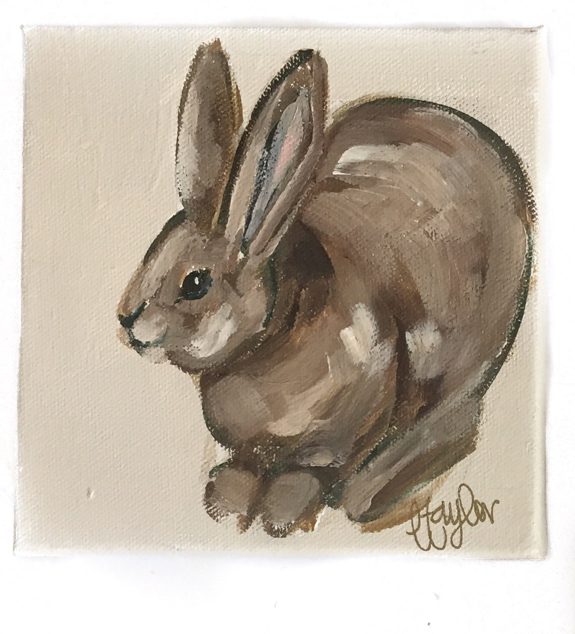 6X6 Canvas Bunny