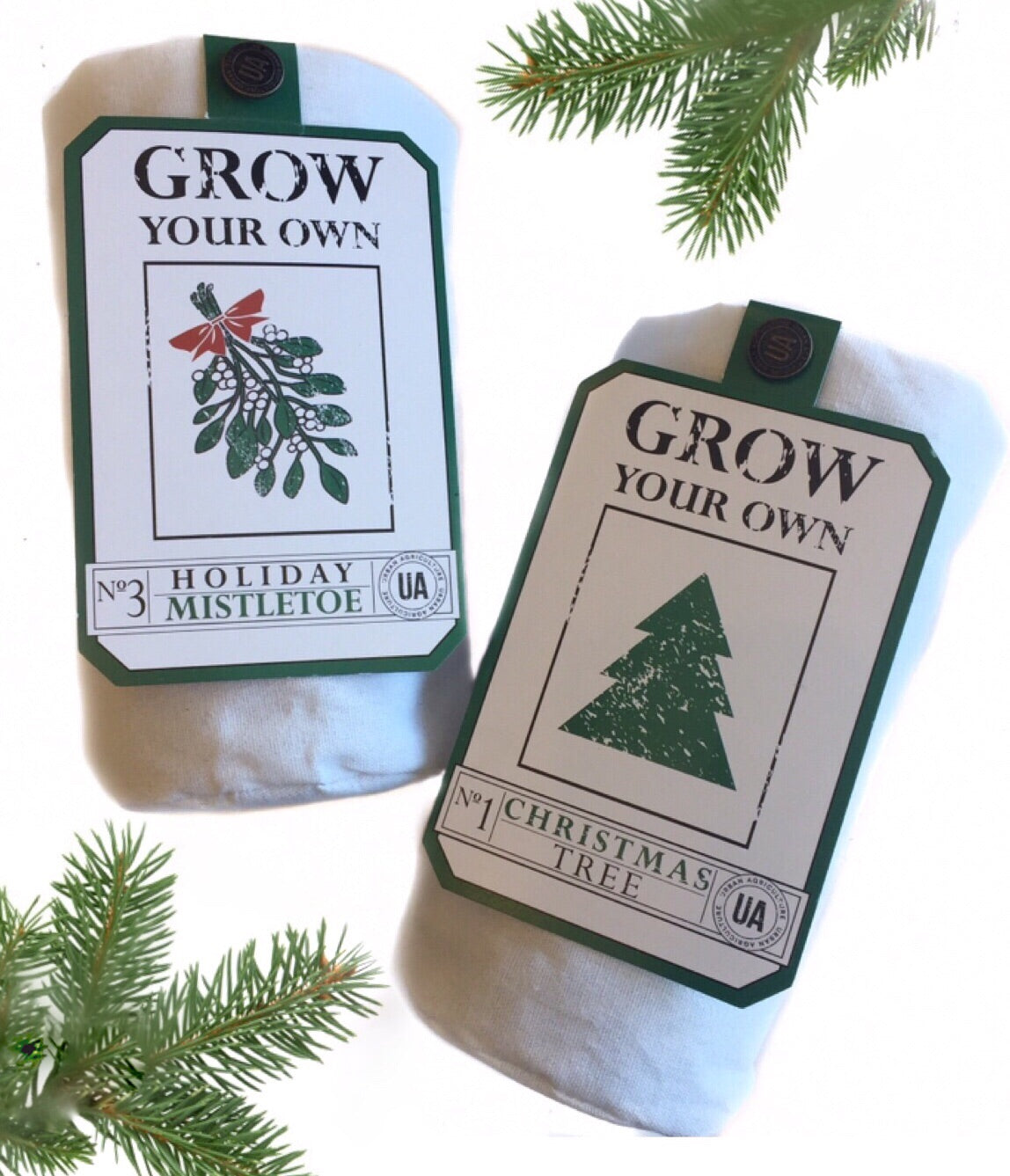 Holiday Grow Your Own Kit
