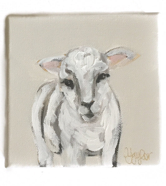 GD-6X6 Canvas Lamb