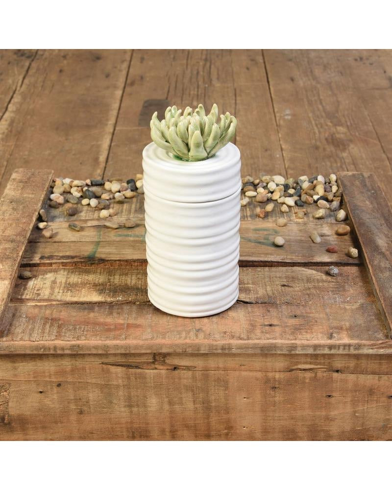 Succulent Canister